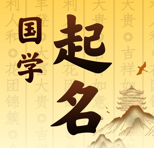 芜湖市国学起名 人工起名一对一